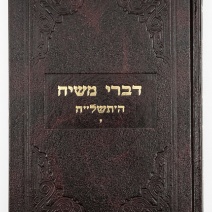 דברי משיח תשלח ד